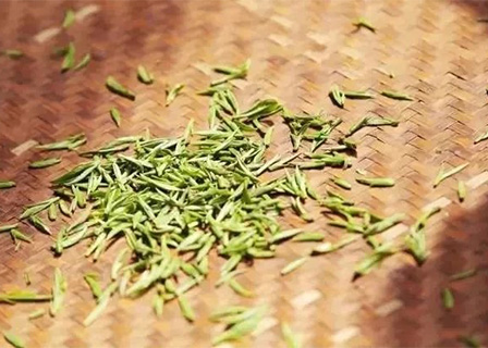 企业网站模板《聚鑫汇国际》（五）